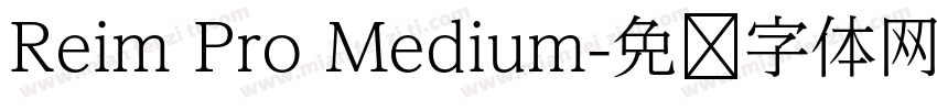 Reim Pro Medium字体转换